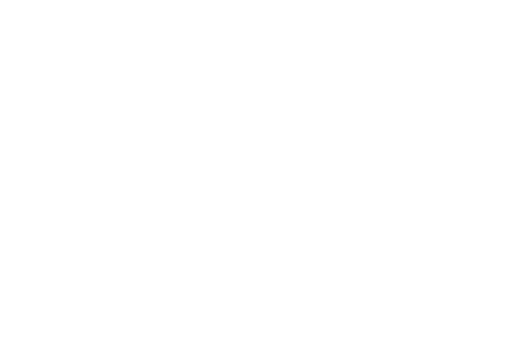 Cambridge Advanced Simulations